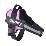 Ultimate Personalized No Pull Dog Harness with name