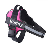 Ultimate Personalized No Pull Dog Harness with name