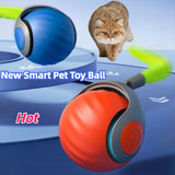 Pet toy ball speedy tail