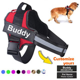 Ultimate Personalized No Pull Dog Harness with name