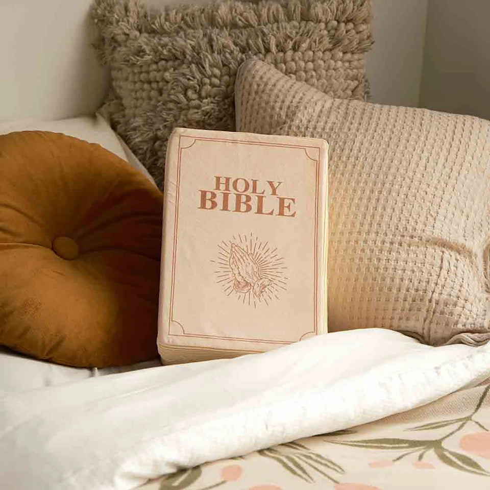 Plushie bible pillow