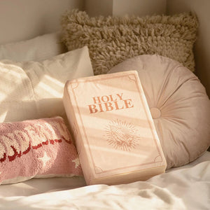 Plushie bible pillow