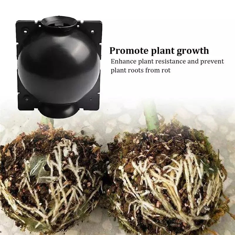 Plant Root Growing Box Reusable Ball Garden 10Pcs