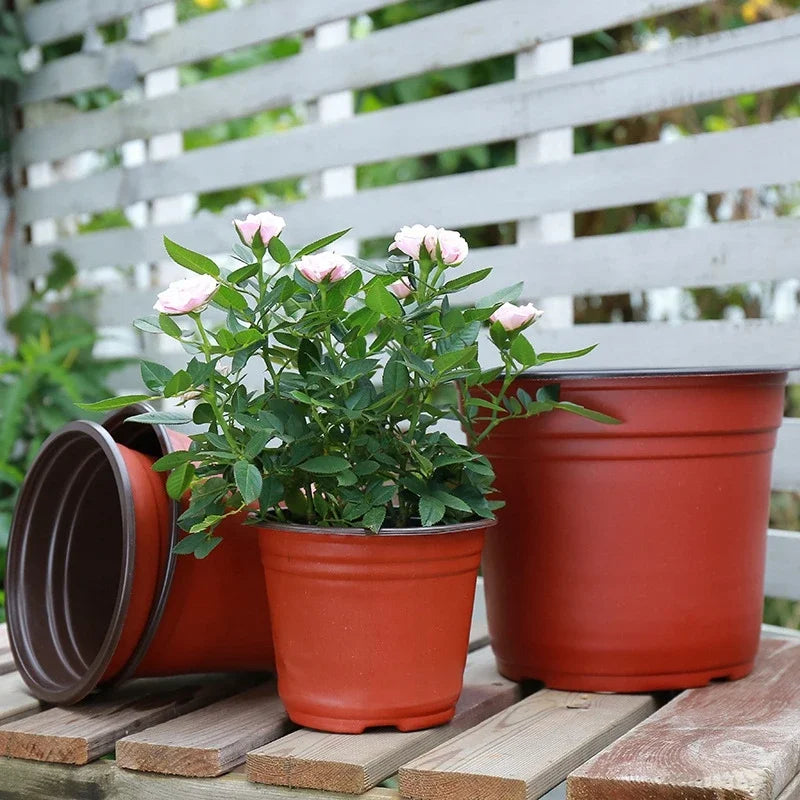 Plastic Flowerpots Simple Nursery Seedling Pot Flowers 50/20pcs