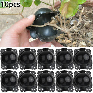 Plant Root Growing Box Reusable Ball Garden 10Pcs