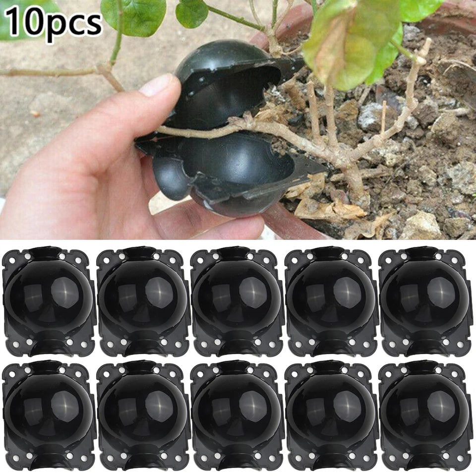 Plant Root Growing Box Reusable Ball Garden 10Pcs