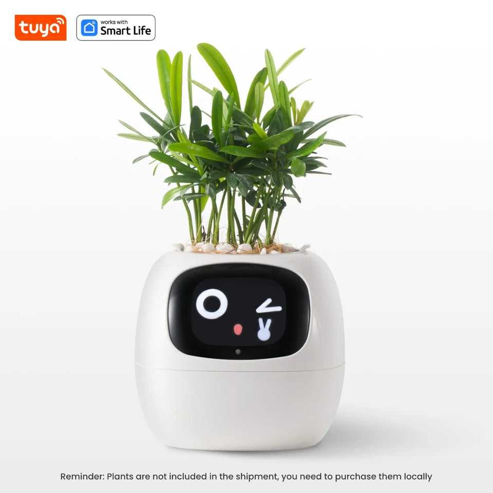 Smart Pet Planter - Simplr Deals enjoy 50% Off Today!