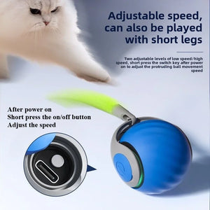 Pet toy ball speedy tail