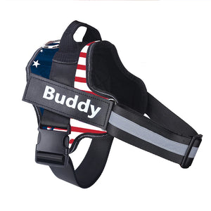 Ultimate Personalized No Pull Dog Harness with name