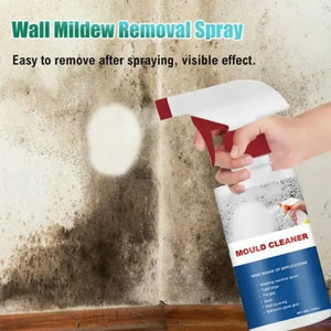 Anti-Mould Cleaning Foam Spray