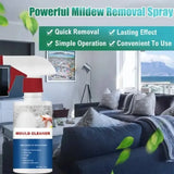 Anti-Mould Cleaning Foam Spray