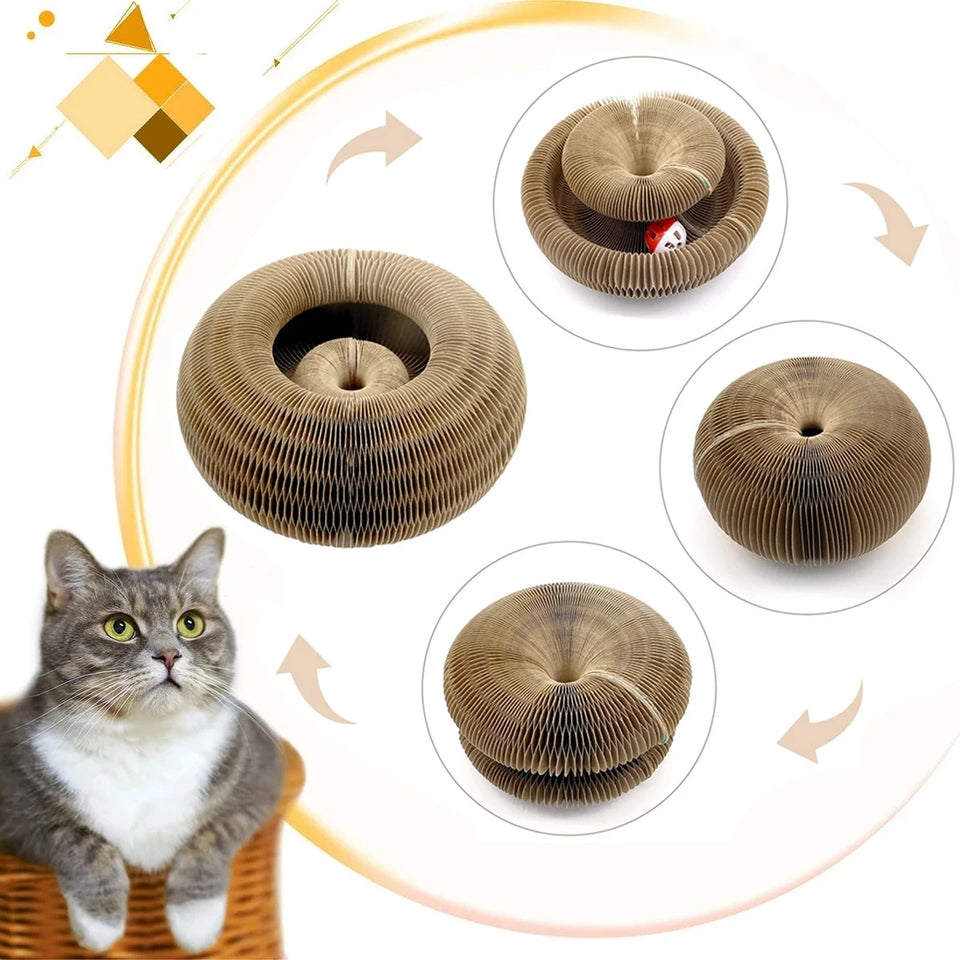 Cat Accordion Magic Organ Cat Scratching Board