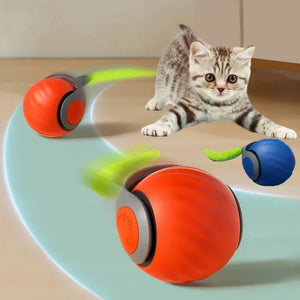 Pet toy ball speedy tail