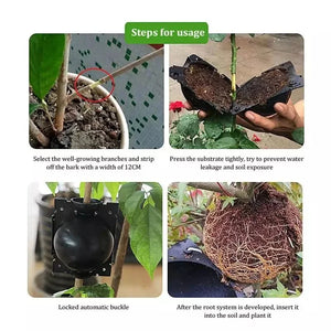 Plant Root Growing Box Reusable Ball Garden 10Pcs