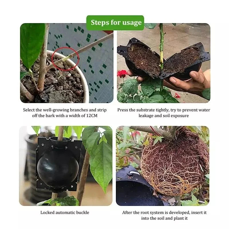 Plant Root Growing Box Reusable Ball Garden 10Pcs