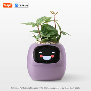 Smart Pet Planter - Simplr Deals enjoy 50% Off Today!