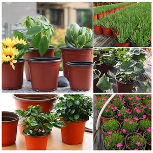 Plastic Flowerpots Simple Nursery Seedling Pot Flowers 50/20pcs
