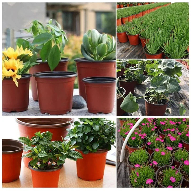 Plastic Flowerpots Simple Nursery Seedling Pot Flowers 50/20pcs