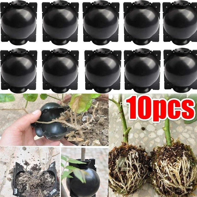 Plant Root Growing Box Reusable Ball Garden 10Pcs