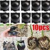 Plant Root Growing Box Reusable Ball Garden 10Pcs