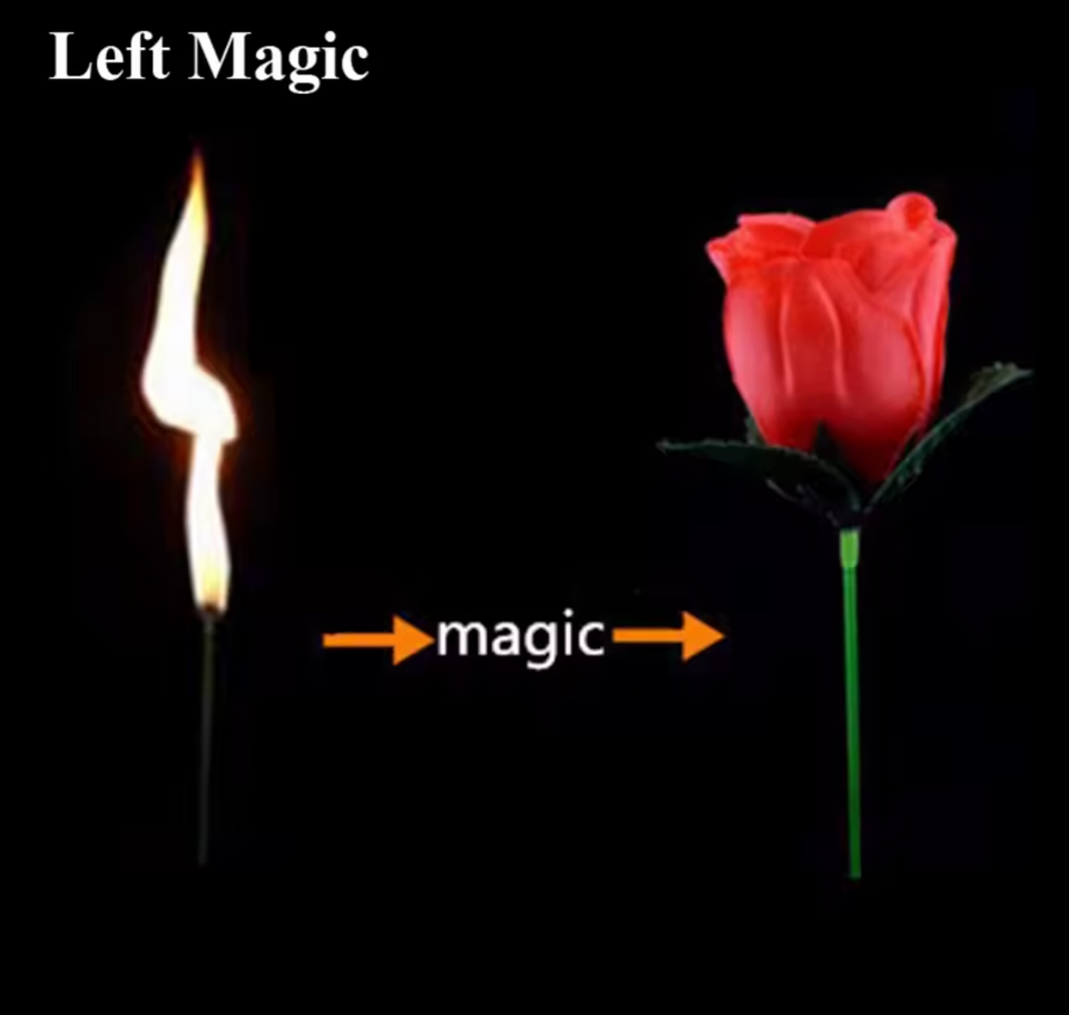 Magic Rose - Torch to Rose