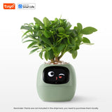 Smart Pet Planter - Simplr Deals enjoy 50% Off Today!