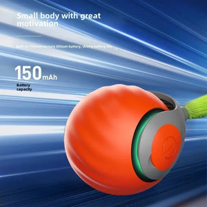 Pet toy ball speedy tail