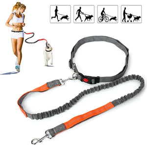 Hands Free Dog Leash with Zipper Pouch