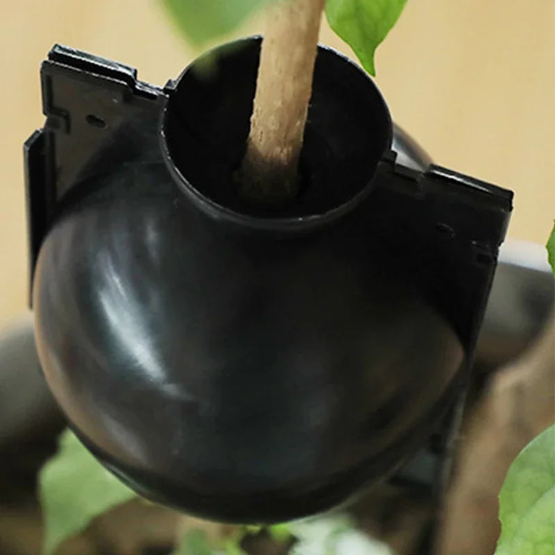 Plant Root Growing Box Reusable Ball Garden 10Pcs