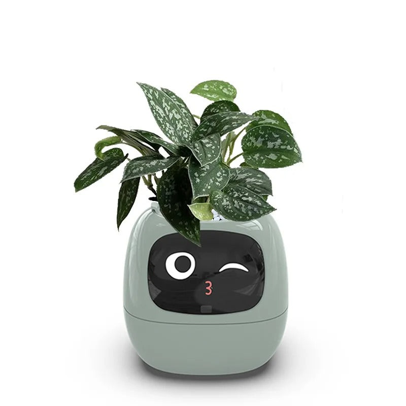 Smart Pet Planter