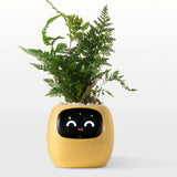 Smart Pet Planter