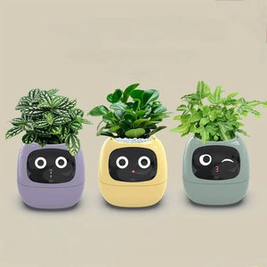 Smart Pet Planter - Simplr Deals enjoy 50% Off Today!