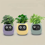 Smart Pet Planter - Simplr Deals enjoy 50% Off Today!