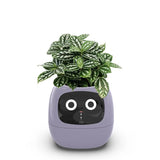 Smart Pet Planter - Simplr Deals enjoy 50% Off Today!