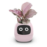 Smart Pet Planter - Simplr Deals enjoy 50% Off Today!