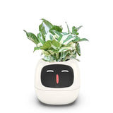 Smart Pet Planter