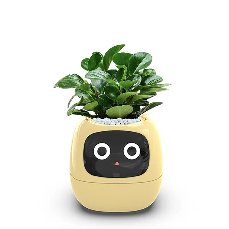 Smart Pet Planter - Simplr Deals enjoy 50% Off Today!